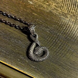 Sterling Silver Celtic‎  Snake Pendant on Stainless 24 inch chain